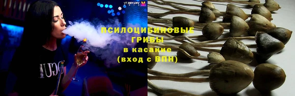 a pvp Богородицк