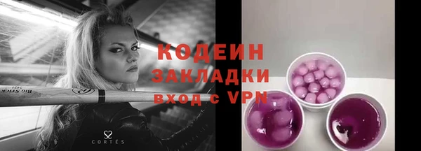 тгк Бородино