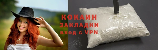 бошки Бронницы