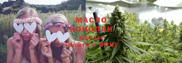 тгк Бородино