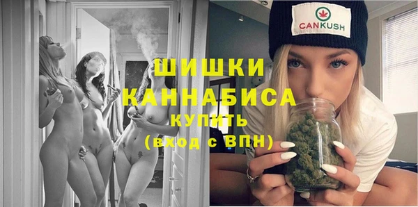 тгк Бородино